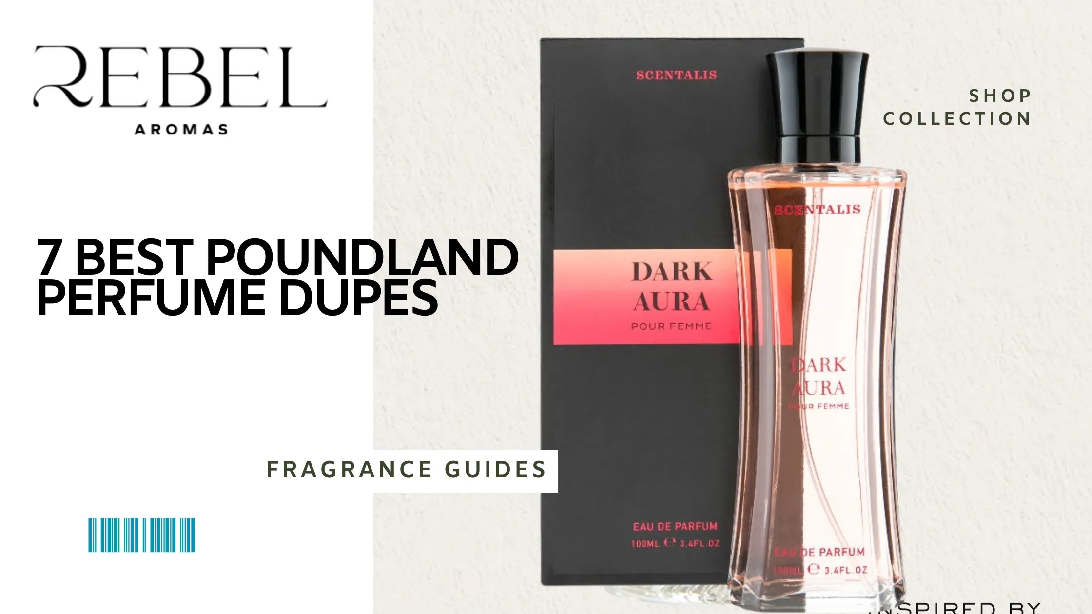 Best Poundland Perfume Dupes