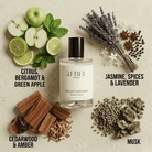 reflection man inspired fragrance 