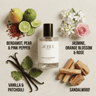 Perfume bottle labeled 'Rebel Aromas' surrounded by flowers, fruits, and spices on a light background